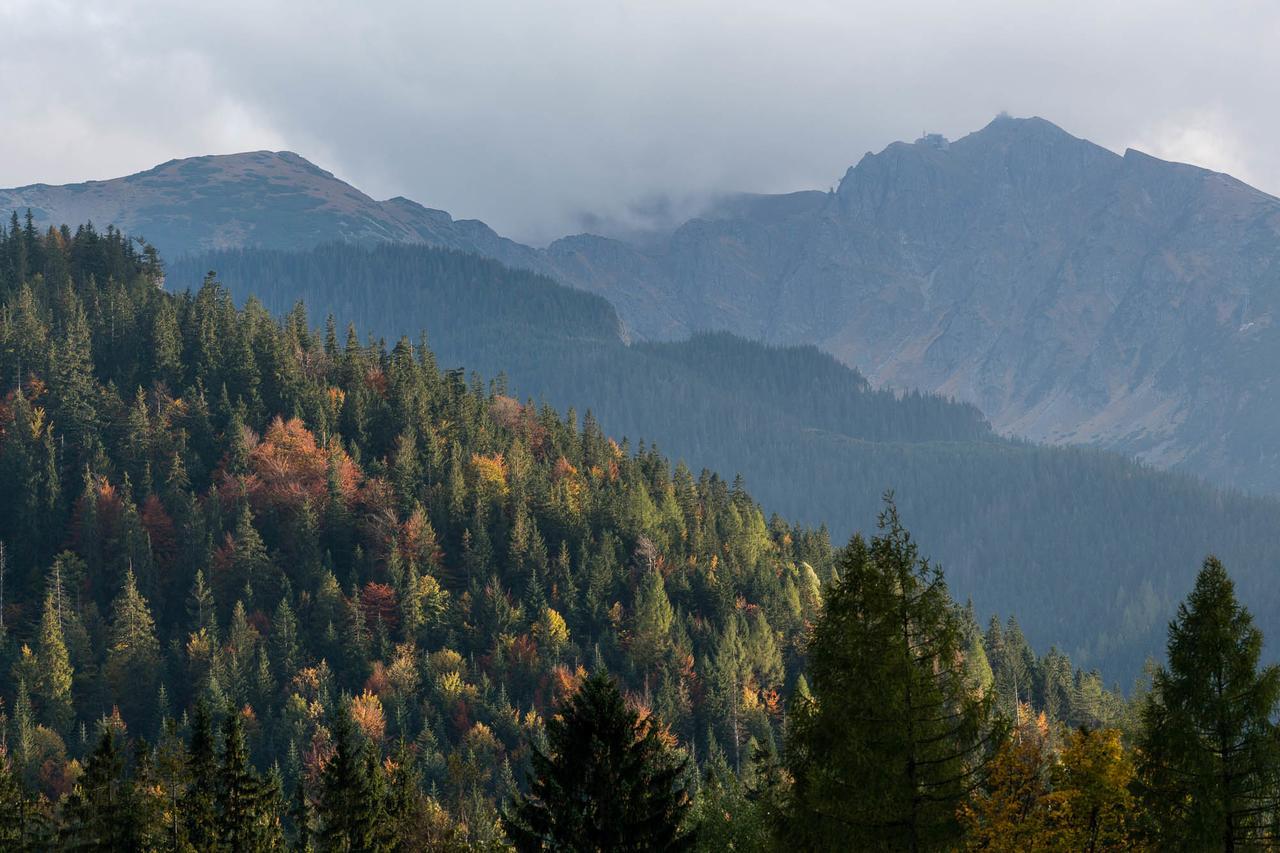 Willa Widokowa Wojnar Zakopane Exterior foto