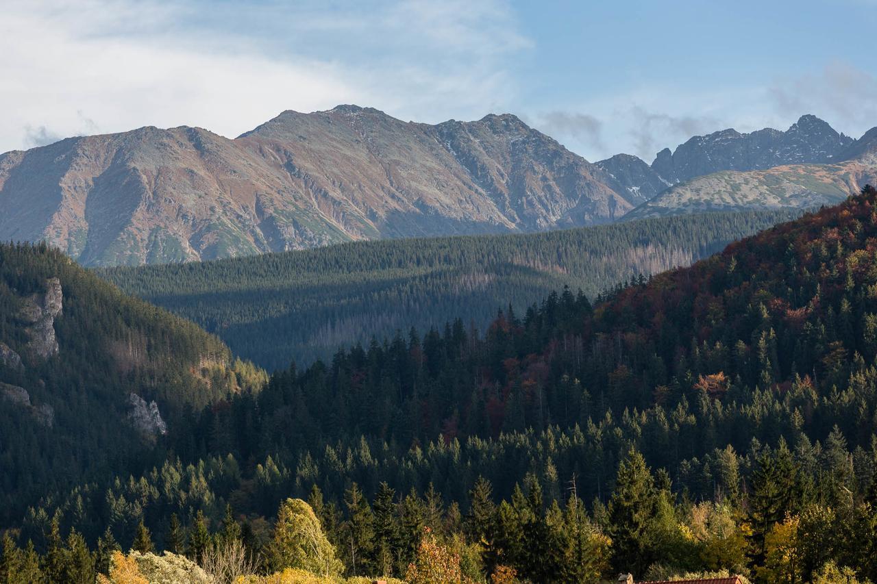 Willa Widokowa Wojnar Zakopane Exterior foto